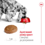 Кипити Medium Adult 7+ - сухий корм для собак середніх порід (від 7 років)