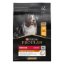 Купить Dog Adult Medium Everyday Nutrion Сухой корм с курицей для взрослых собак средних пород