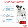 Кипити Mini Starter Mother & Babydog - сухий корм для вагітних собак і цуценят маленьких порід (до 2 місяців)