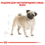 Купить Pug Adult - сухой корм для взрослых собак породы Мопс (от 10 месяцев)