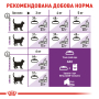 Купить Sensible 33 - сухой корм для кошек с чувствительной пищеварительной системой (от 12 месяцев)