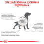 Кипити Gastrointestinal Low Fat - лікувальний сухий корм для дорослих собак при порушеннях травлення (від 12 місяців)