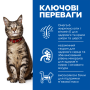 Купить SP Feline Adult Turkey Влажный корм для взрослых кошек, с индейкой