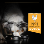 Купить Dog Adult Medium Everyday Nutrion Сухой корм с курицей для взрослых собак средних пород