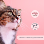 Кипити Migliorgatto Sterilized Сухий корм для стерилізованих котів з лососем