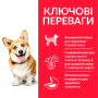Кипити SP Canine Adult Small & Mini Chicken Сухий корм з куркою для дорослих собак малих і мініатюрних порід