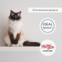 Купить Migliorgatto Sterilized Беззерновые консервы для стерилизованных кошек ягненка с овощами кусочки в соусе