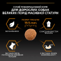 Кипити Large Robust Adult Everyday Nutrion Chicken Сухий корм з куркою для дорослих собак великих і гігантських порід