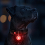 Купить WAUDOG LED Фонарик для собак и кошек в светящемся силиконовом чехле USB