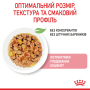 Купить Kitten Jelly - влажный корм в желе для котят на каждый день (до 12 месяцев)