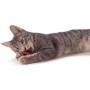 Купить Catnip Plaque Away Pretzel Org Игрушка для кошек с кошачьей мятой