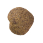 Купить Cat Snack Superfruits Insect Лакомство для кошек, насекомые