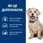 Кипити Prescription Diet Canine W/D - лікувальний сухий корм з куркою для дорослих собак із цукровим діабетом