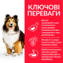 Купить SP Canine Adult Sensitive Stomach & Skin Medium Сухой корм с курицей для взрослых собак средних пород с чувствительным пищеварением