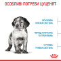 Купить Medium Puppy - влажный корм в соусе для щенков средних пород