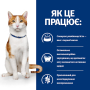 Купить PD Feline ON-Care Диетический сухой корм с курицей для взрослых кошек, страдающих тяжелыми заболеваниями