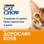 Купить Adult С курицей и кабачками в желе для кошек