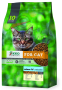 Кипити For Cat Salmon Сухий корм для котів з лососем