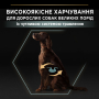 Купить Dog Adult Large Athletic Sensitive Digestion Lamb Сухой корм с ягненком для взрослых собак больших пород атлетического телосложения  с чувствительным пищеварением