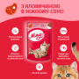 Купить Влажный корм для кошек с говядиной в нежном соусе