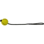 Купить Sport Ball on a Rope Игрушка для собак "Шар с веревкой, плавающий"