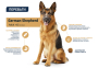 Купить Dog German Shepherd для немецких овчарок с индейкой и рисом