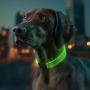 Купить WAUDOG LED, RGB, Type-C Ошейник для собак с подсветкой, регулируемый