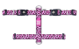 Кипити H-Harness Leopard Pink Шлея для собак рожевого кольору