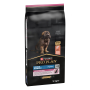 Купить Large Robust Puppy Sensitive Skin Сухой корм с лососем для щенков больших пород массивного телосложения, с чувствительной кожей