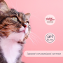 Кипити Migliorgatto Sterilized Сухий корм для стерилізованих котів з куркою