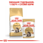 Кипити Maine Coon Adult – сухий корм для котів породи Мейн-кун (від 15 місяців)