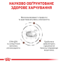 Купить Gastrointestinal - лечебный сухой корм для взрослых собак при острых расстройствах ЖКТ (от 12 месяцев)