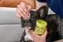 Купить Wrinkle Wipes Салфетки для складочек