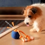 Купить Wicked Ball Rolly (Royal Blue) Умная интерактивная игрушка для собак