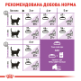 Купить Sterilised 37 - сухой корм для стерилизованных кошек (от 12 месяцев)