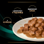 Купить Veterinary Diets EN Gastrointestinal Кусочки в подливке с курицей для кошек