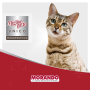Купить Migliorgatto UNICO Влажный корм для кошек, мусс из ягненка