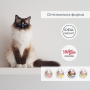 Купить Migliorgatto Sterilized Беззерновые консервы для стерилизованных кошек мусс со средиземноморской рыбой