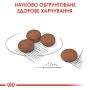 Купить Digestive Care Mini - сухой корм для взрослых собак малых пород с чувствительным пищеварением (от 10 месяцев)