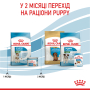 Кипити Mini Starter Mother & Babydog - сухий корм для вагітних собак і цуценят маленьких порід (до 2 місяців)