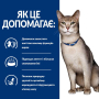 Купить PD Feline K/D Beef Влажный корм для кошек, поддержка функции почек, с говядиной