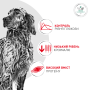 Купить Glycobalance Dog Сухой корм-диета для контроля уровня глюкозы при сахарном диабете у взрослых собак