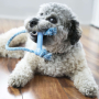 Купить Puppy Goodie Bone with Rope Кость с веревкой для щенков миниатюрных пород