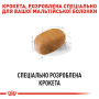 Купить Maltese Adult - сухой корм для взрослых собак породы мальтийская болонка (от 10 месяцев)