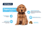 Купить Dog Medium Puppy Сухой корм для щенков средних пород с курицей и рисом