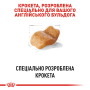 Кипити Bulldog Adult - сухий корм для дорослих собак породи англійський бульдог (від 12 місяців)