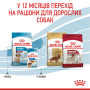 Кипити Medium Puppy - сухий корм для цуценят середніх порід (від 2 до 12 місяців)