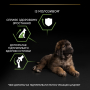 Купить Large Robust Puppy Sensitive Skin Сухой корм с лососем для щенков больших пород массивного телосложения, с чувствительной кожей