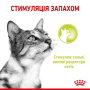 Купить Sensory Smell in Jelly