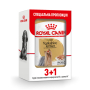 Купить Yorkshire Terrier Adult Влажный корм для собак породы йоркширский терьер старше 10-и месяцев